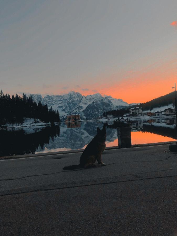 Quinz - Locanda Al Lago Misurina Bagian luar foto